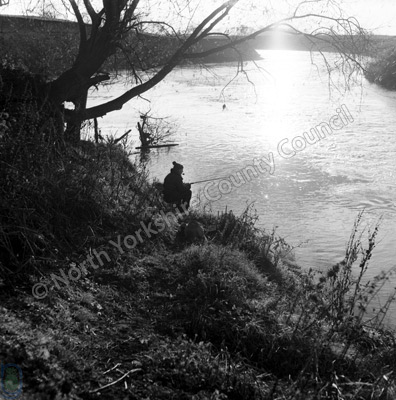 Fishing, River Swale, Brafferton, 1964